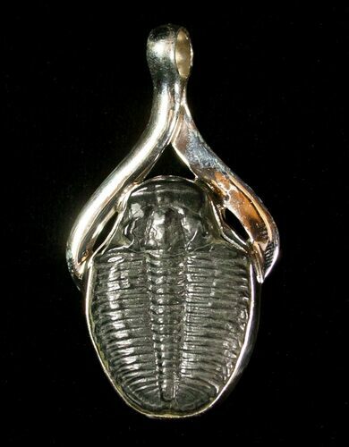Elrathia Trilobite Pendant #4503